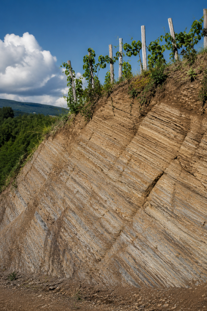 Flišna tla Vipavske doline – Kalos